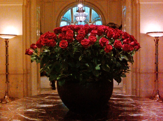 Bouquet of Red Roses - Palace Hotel